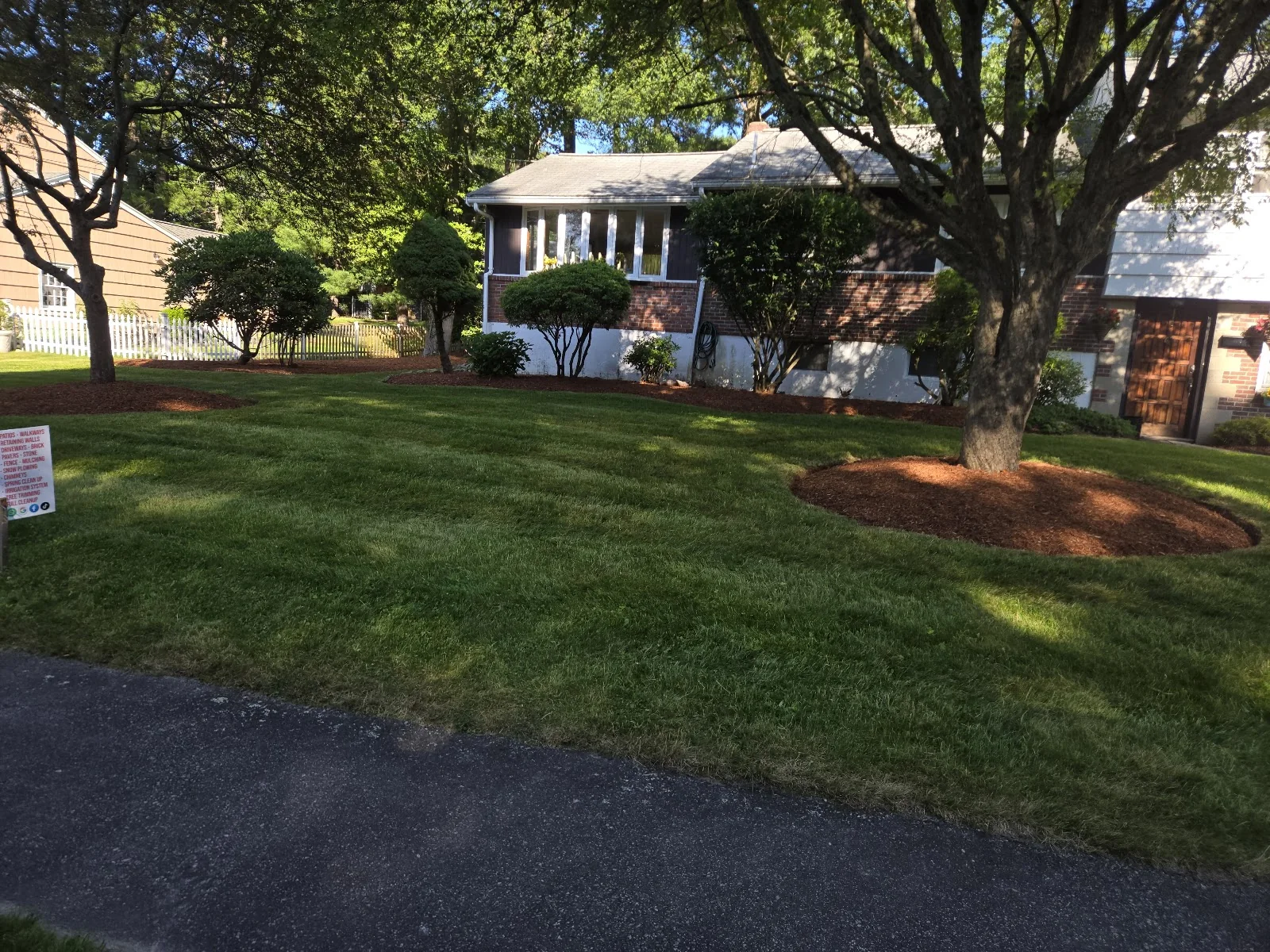 Fresh lawn and tree-bed landscaping by W and G